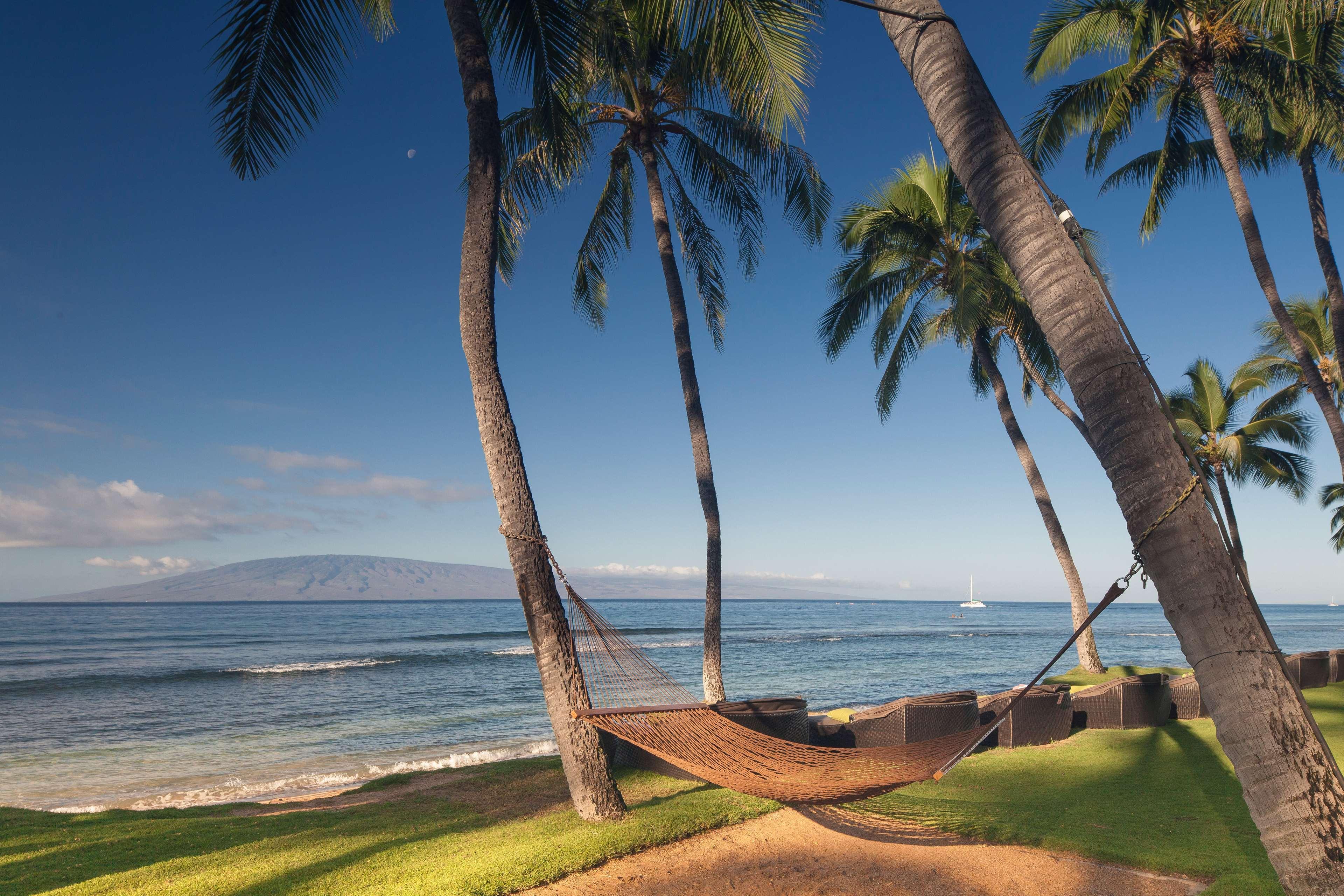 Hyatt Regency Maui Resort & Spa Lahaina Esterno foto